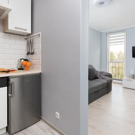 Dworska Close To The Beach By Renters Apartman Gdańsk